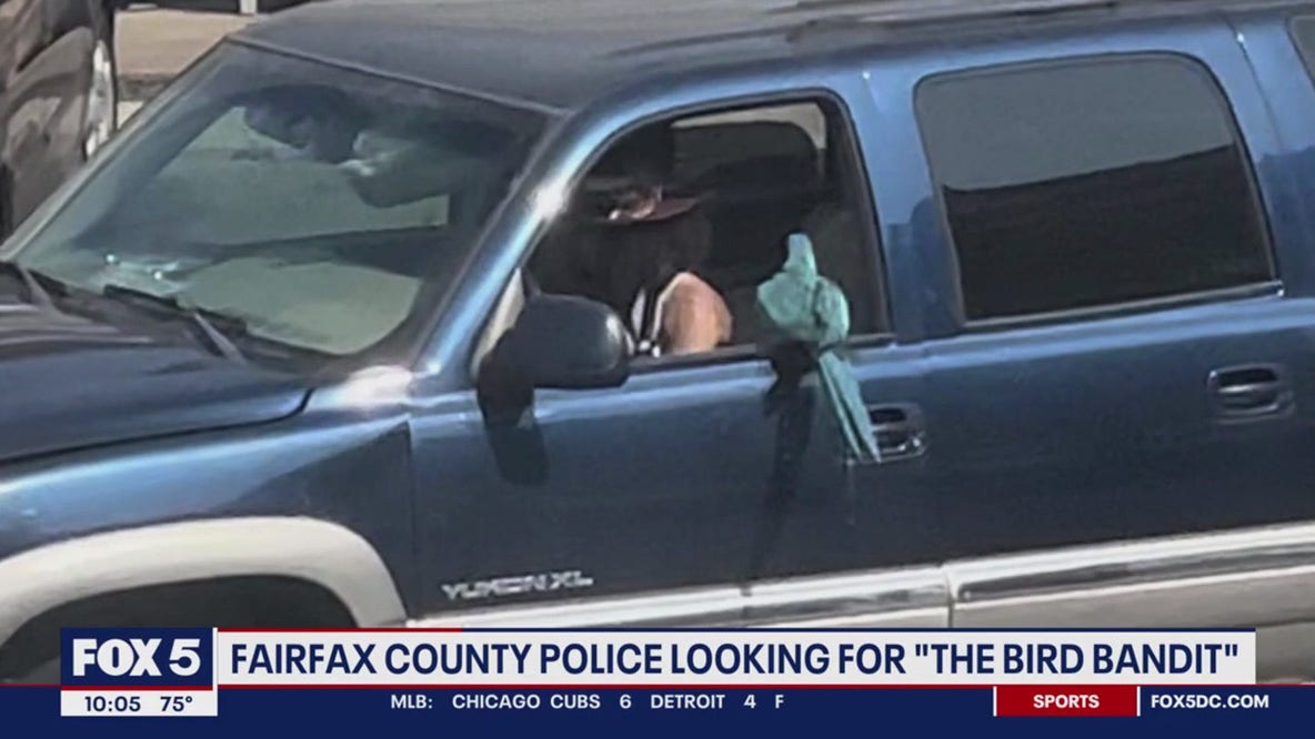 Fairfax County police looking for 'The Bird Bandit'